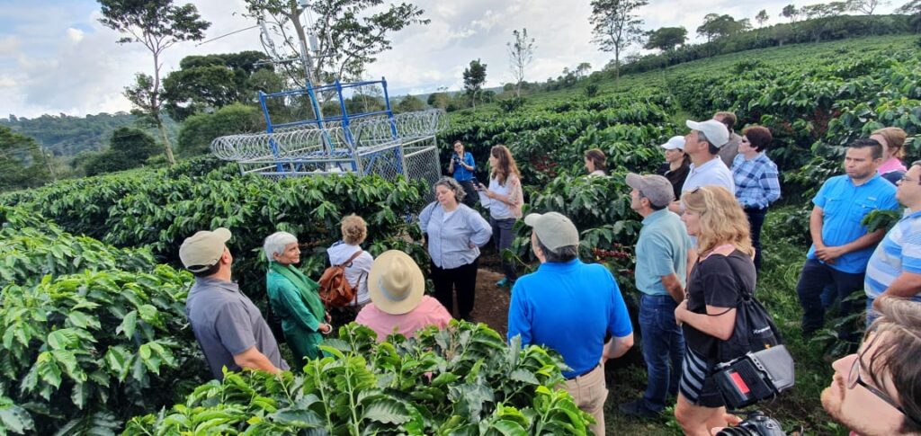 Estudian el cultivo del café con sensores y teledetección para adaptarlo al cambio climático