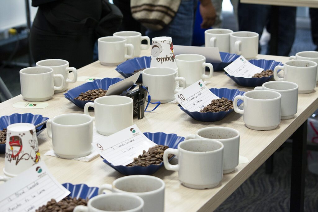 Mesa de catación con tazas de café y sus respectivas muestras de café tostado en grano
